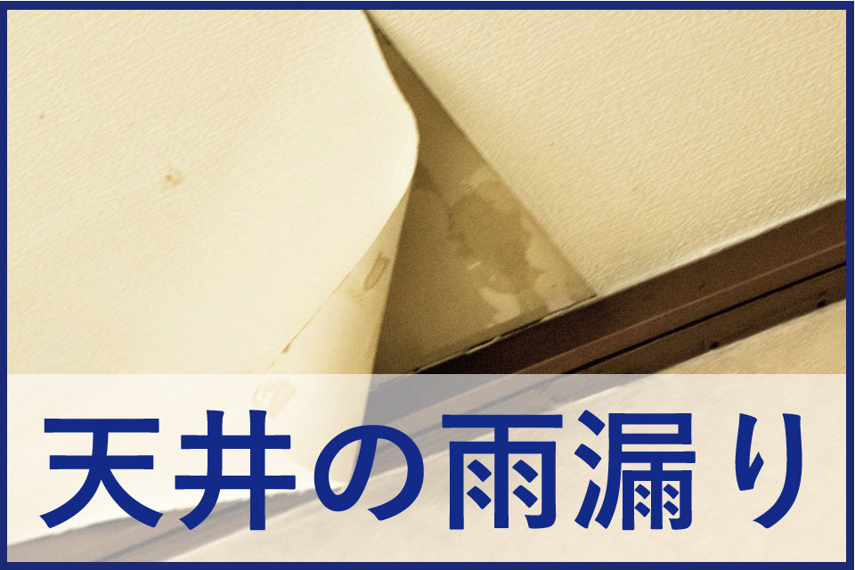 天井の雨漏り